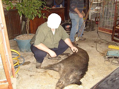 boar_E_plus_driver_and_butcher.jpg