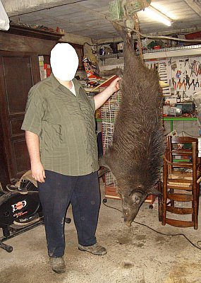 boar_G_plus_driver.jpg